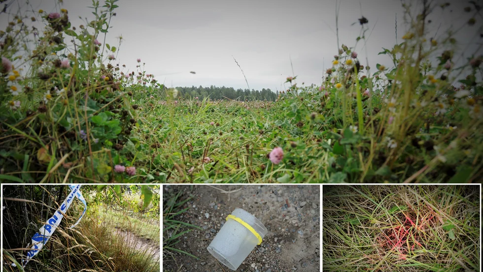 Dagen efter det makabra fyndet på klövervallen strax söder om Tillinge kyrka finns bara kvarglömda spår efter polisens tekniska undersökning.