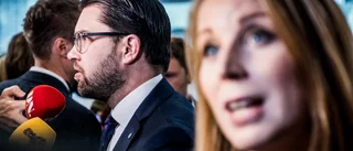 SD driver Sverige i antidemokratisk riktning