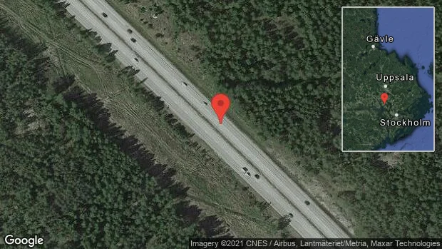 Rådjur på vägen på E18