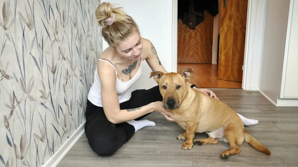 Oxelösundaren Lina Lännström adopterade hunden Jack från Rumänien i januari i år.