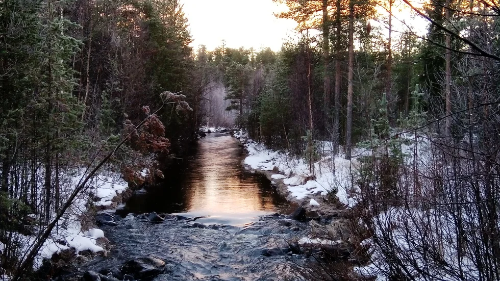 Marina Ohls har skickat in denna fina vinterbild av Kvarnbäcken i Jokkmokk. 