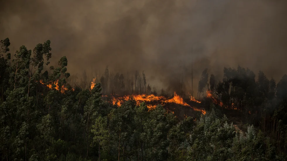 Det är inte ovanligt med markbränder i södra Portugal. Bilden togs vid en tidigare brand i Algarveområdet.