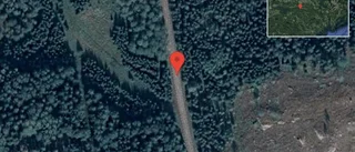 Fallna träd skapar problem i trafiken på väg 694