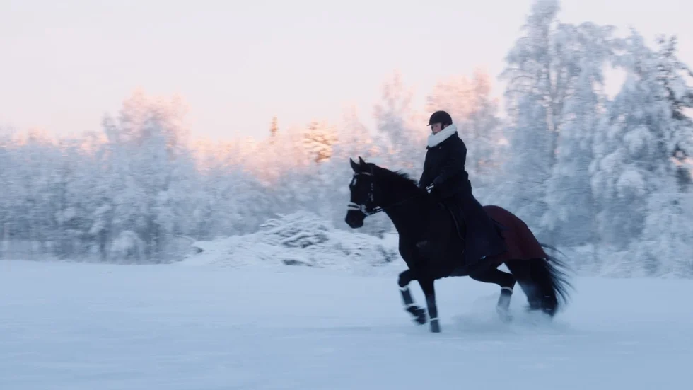 En stillbild ur dokumentärfilmen ”Elisa och drömhästen”, regi och foto står Skelleftebaserade regissören Johan Granstrand för.