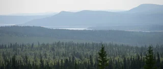 Nya lösningar behövs i den fjällnära skogen