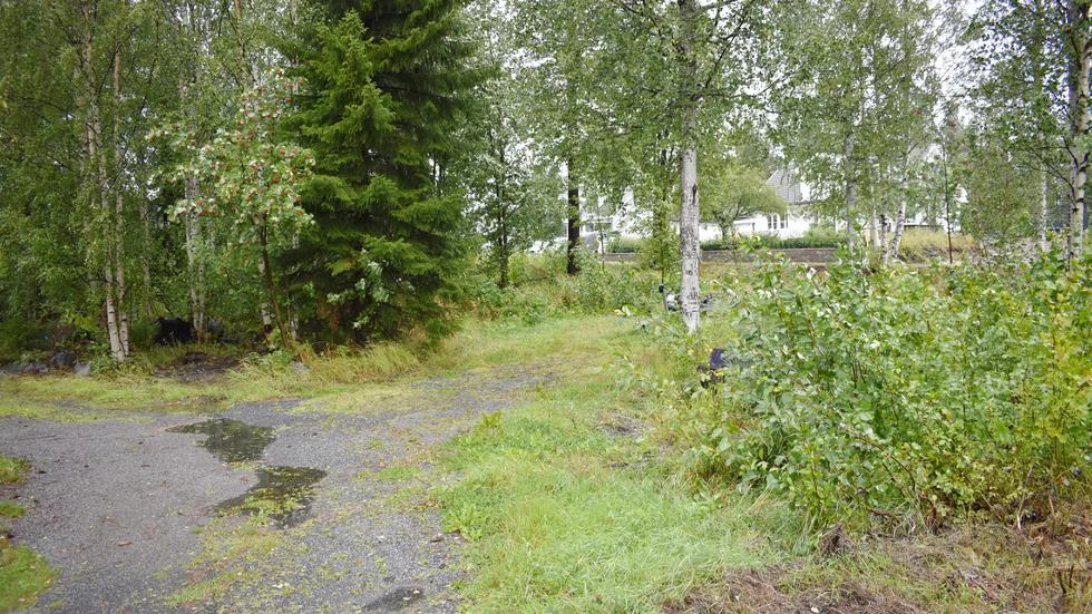 Obegripligt att kommunen prioriterar tillfälliga bostäder, menar skribenten.