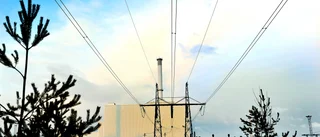 Gröna industrierna kan bli beroende av kärnkraft: "Vill helst ha förnybar energi"