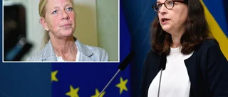 Herrejisses vad högerpartierna larmar och gör sig till just nu
