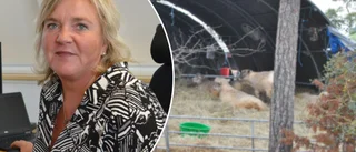 Slutgiltigt besked om Djurfristaden – nu har djuren tagits omhand