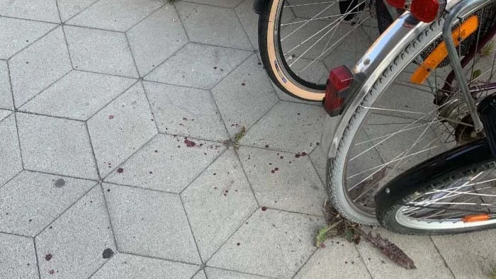 Här syns blodspår efter misshandeln i somras, då en tonårspojke överfölls av tre-fyra jämnåriga personer. Han ramlade omkull i ett cykelställ – då fortsatte slagen och sparkarna att komma.