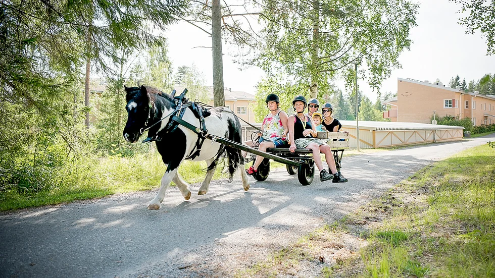 Linn Wikberg, hästskötare på Lilla Lyckan, ser till att hästekipaget lugnt och säkert tar sig runt på området. 
