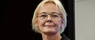 Nämndordföranden: "Väldigt intresserade av stickspår"