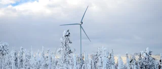 Vindkraftsbolaget svarar: ”Att det låter vet vi”