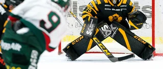 Målvaktsbyte i AIK – så ställer man upp mot Frölunda