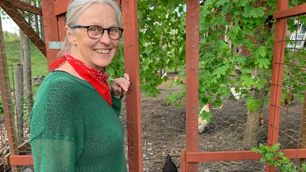 Sylvia Karlsson Lundahl tycker väldigt mycket om sina höns. Snart utökas flocken med tio nya individer. 