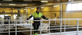 Häng med in i reningsverket i Vimmerby • Detta spolar Vimmerbyborna ner i avloppet