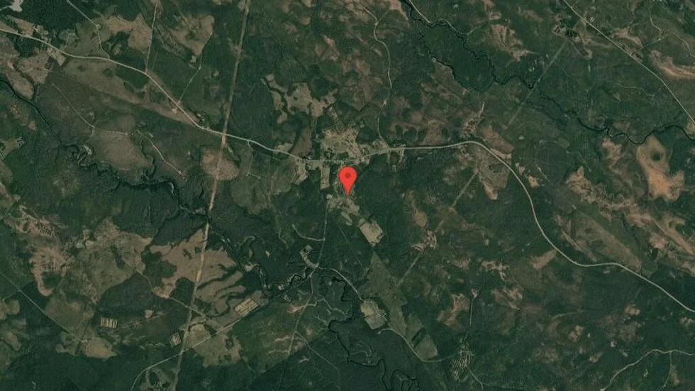 Ny ägare till skog i Burträsk i oktober