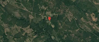 Ny ägare till skog i Burträsk i oktober