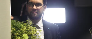Vanskligt läge när Åkesson släpper taktpinnen
