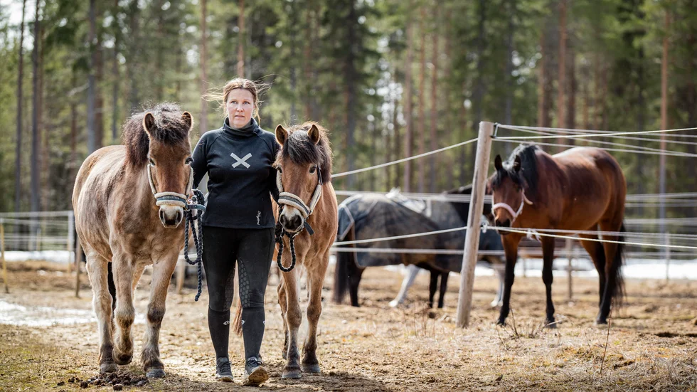 Rebecca Harnesk i Sikfors fick sin dröm uppfylld när hon sadlade om från arbetsterapeut till att öppna egen hästgård. "Det roligaste med att vara ridlärare är att jobba med barnen och se dem utvecklas", säger hon.