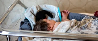 Gravida bör vaccineras mot kikhosta