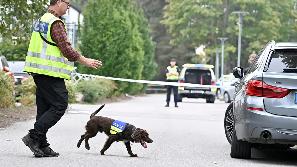 Polisen letar med hundar efter bevis efter nattens dödsskjutning.