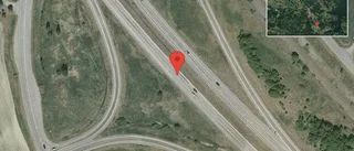 Älg på vägen på E20