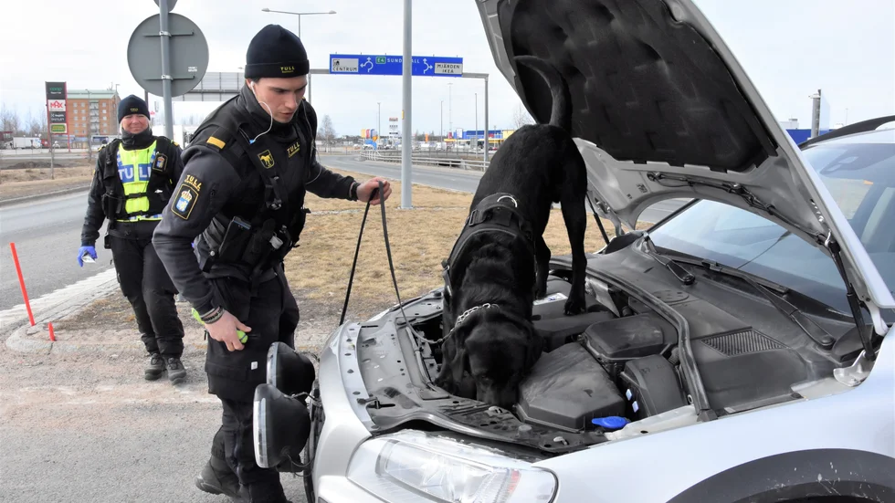 Loki letar snabbt reda på ämnet som gömts i bilen.