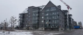 Luleå har blivit en svartvit värld