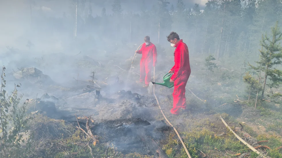 Ett cirka en hektar stort område har brunnit i närheten av Forstjärnberget mellan Sikfors och Bodträsk. Branden tros ha orsakats av ett blixtnedslag.