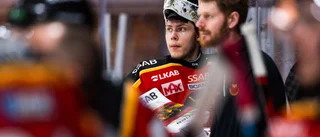 Lasse Lindgren tror att Wallstedt kan bli historisk: "Många håller honom högt"