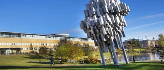 Besked: Umeå universitet slopar sina covid-åtgärder