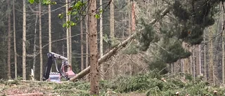 Nödvändigt att spara på skogsavfallet