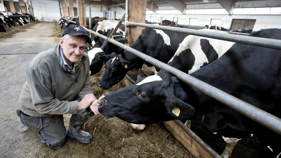 Herbert Nyman, mjölkbonde i Nybyn och styrelseledamot i LRF Norrbotten, välkomnar pengarna. ”Det är en positiv engångsåtgärd, men det vi önskar mest av allt är långsiktiga lösningar”, säger han.