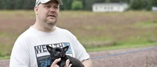 "Dino var helt söndersliten"