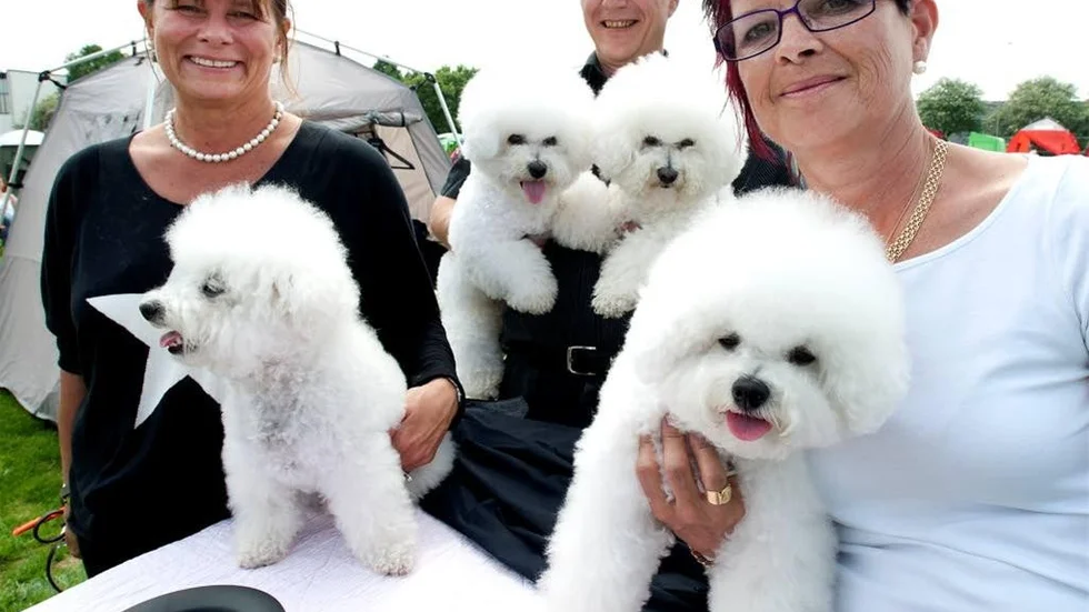 Bichon frisé var det här. Och från vänster Anneli Flensborg smat Jan-Åke och Susanne Sköld.