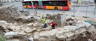 Överraskande fynd vid Hörsalsparken