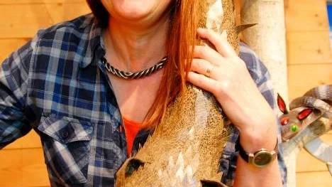 Fabeldjur skapade av Monica Stangel Löfvall.