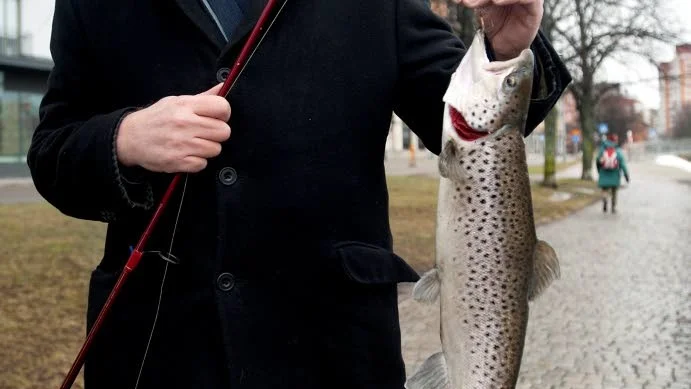 Folkbladets stolta utsände med sin havsöring. Efter obligatorisk fotografering fick fisken gå åter till strömmens vatten.