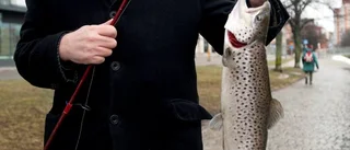Dags igen för fiskepremiär