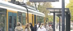 Se upp för Sallén