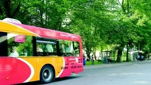 I det nya förslaget för kollektivtrafiken vid Söder tull kommer bara fyra träd att försvinna från Kristinaskolans gård, vilket kan jämföras med de 16-17 som hotades i det ursprungliga förslaget.
FOTO: SUSANNE LUNDBÄCK