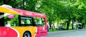 Grönskan består