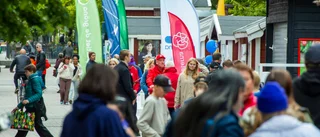 Valet 2022 – så röstade Luleåborna