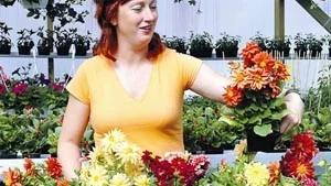 Louise Jardstål gillar blomman dahlia, hon heter Dahlia i andranamn och nu har också hennes nystartade verksamhet fått namnet Dahlias blommor. 
FOTO: CHRISTINE LINDSTRÖM
