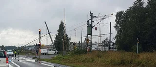 Skyddsanordning mejades ner av timmerbil