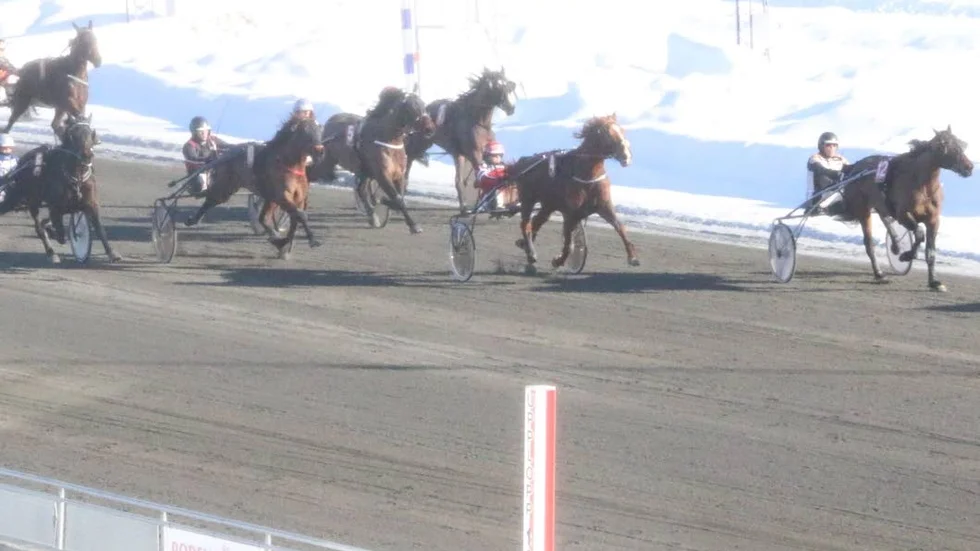 Eloy DÁvignere (nr 4 Katarina Palomäki) spurtar starkt och hinner fram och förbi ledande Stormworm (nr 12 Mikael Niva) strax före mål i V4-3.