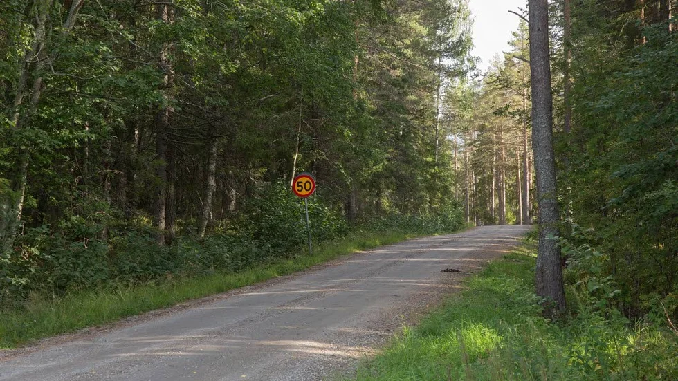 Enligt ögonvittnen ska ingen bil ha kört bakom hästarna och tutat.