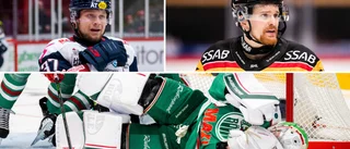 Brendan Shinnimin fälls för filmning • SHL-trio bötfälld efter torsdagens matcher