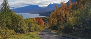Läsarbilden: Fjällvärlden i höstskrud